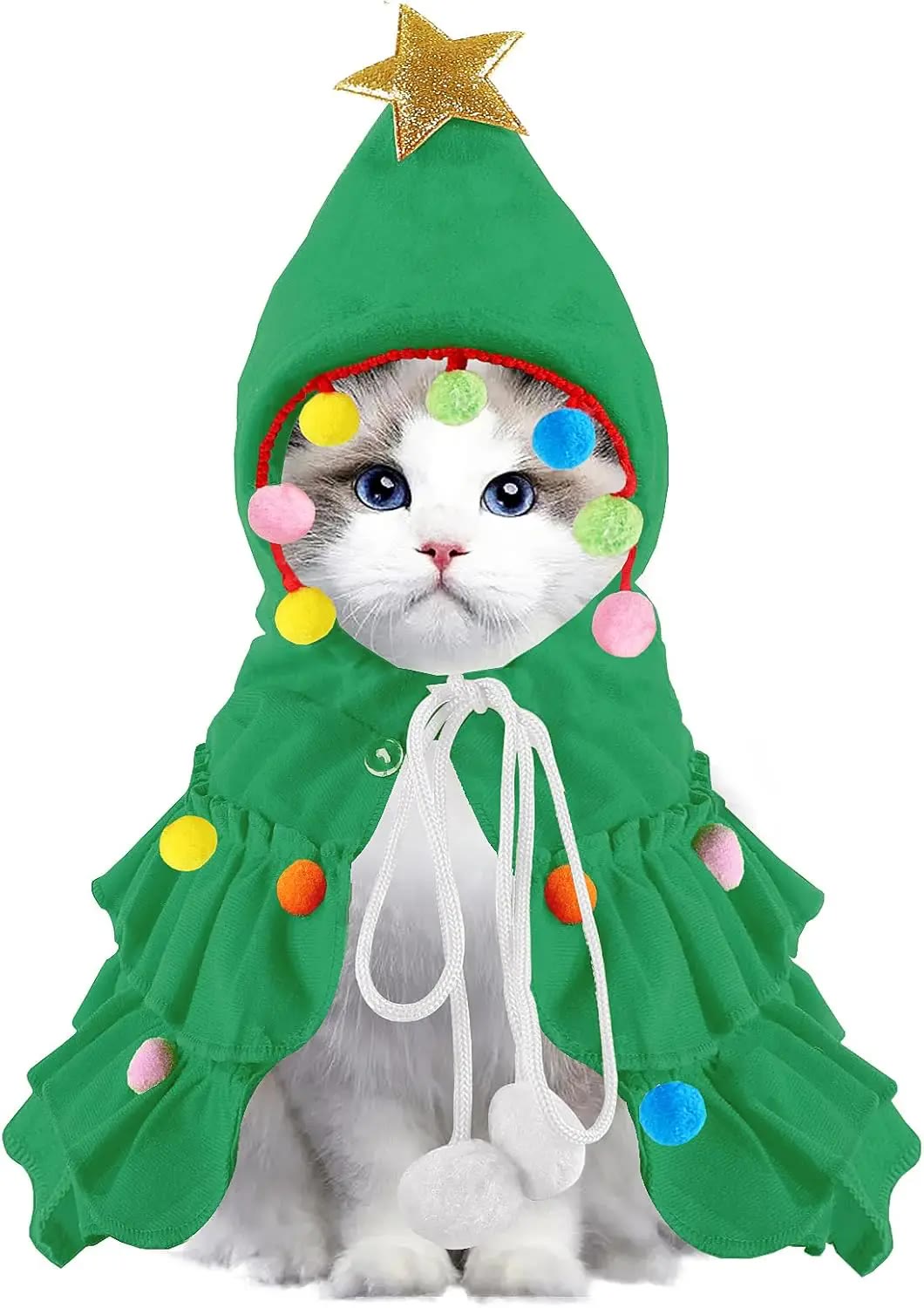 Cat wearing the Christmas tree cape